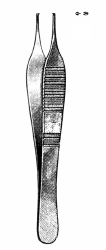 Adson Tissue Forceps